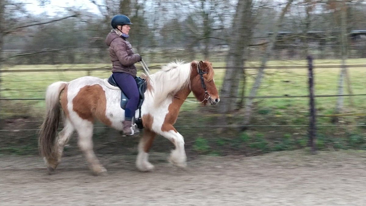 Tölt in balans deel 1