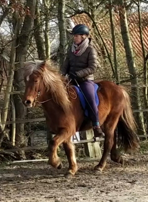 Centered Icelandic Riding