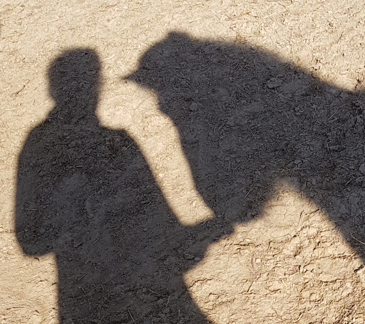 In het moment zijn met je paard