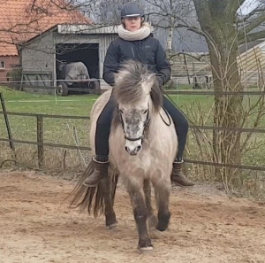Tien tips om je paard beter te sturen met je zit