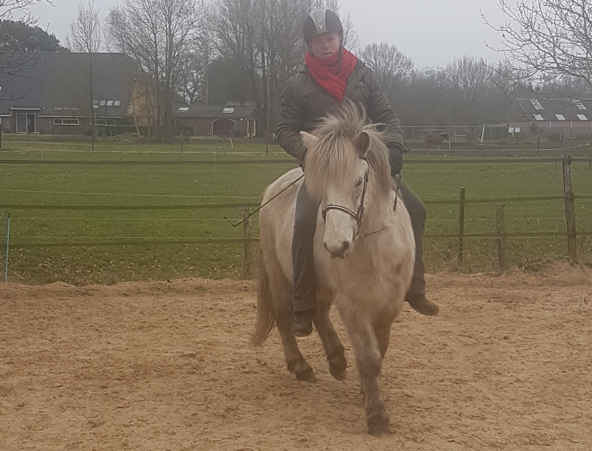 Word een betere ruiter door af en toe te rijden zonder zadel