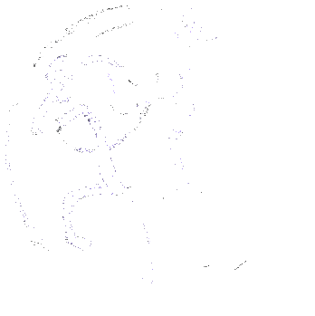 FijnZinnig Paardrijden